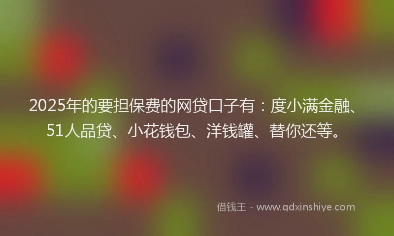 2025年的要担保费的网贷口子有：度小满金融、51人品贷、小花钱包、洋钱罐、替你还等。