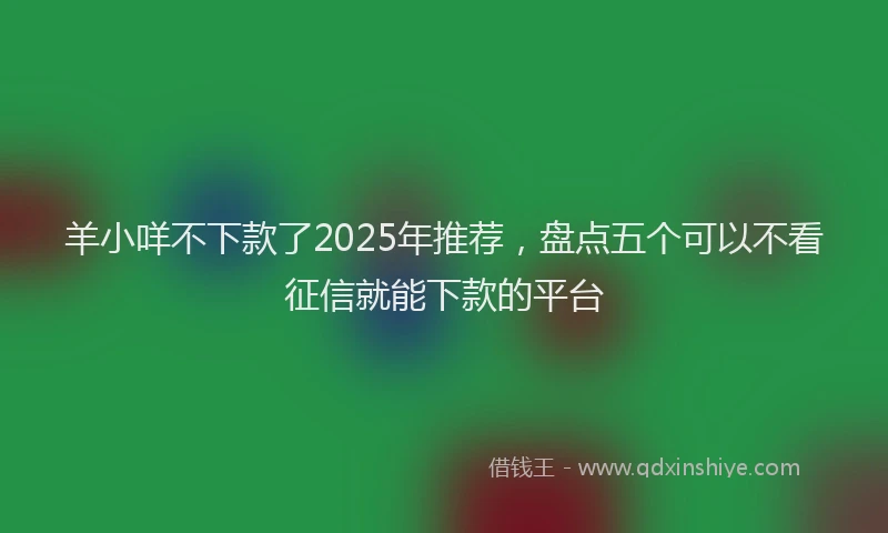 羊小咩不下款了2025年推荐，盘点五个可以不看征信就能下款的平台
