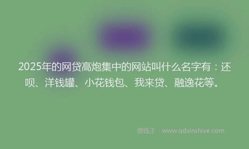 2025年的网贷高炮集中的网站叫什么名字有：还呗、洋钱罐、小花钱包、我来贷、融逸花等。