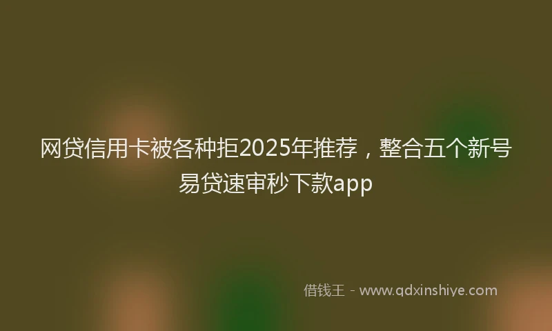 网贷信用卡被各种拒2025年推荐，整合五个新号易贷速审秒下款app
