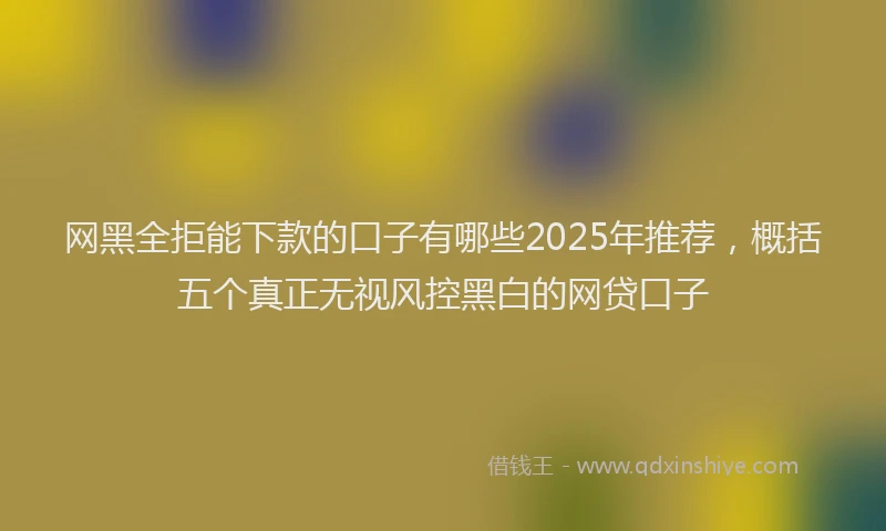 网黑全拒能下款的口子有哪些2025年推荐，概括五个真正无视风控黑白的网贷口子