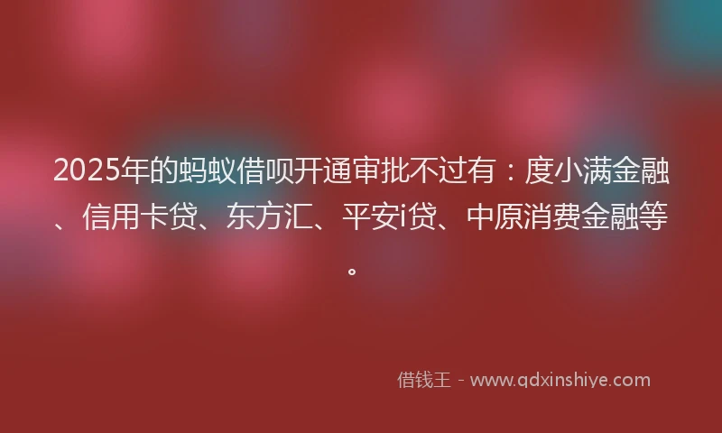 2025年的蚂蚁借呗开通审批不过有：度小满金融、信用卡贷、东方汇、平安i贷、中原消费金融等。