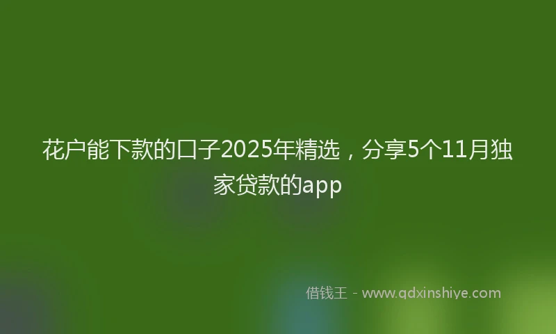 花户能下款的口子2025年精选，分享5个11月独家贷款的app