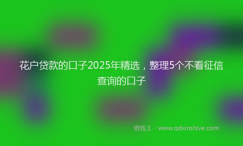 花户贷款的口子2025年精选，整理5个不看征信查询的口子