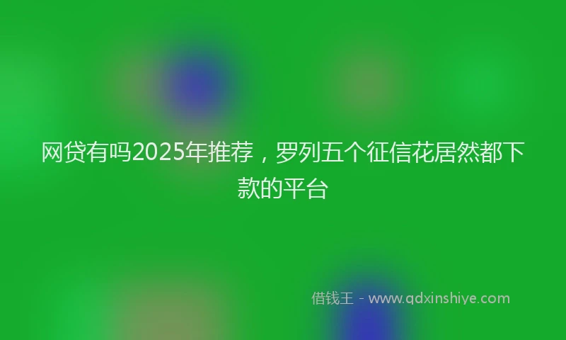 网贷有吗2025年推荐，罗列五个征信花居然都下款的平台