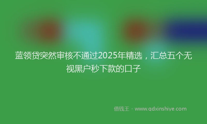蓝领贷突然审核不通过2025年精选，汇总五个无视黑户秒下款的口子