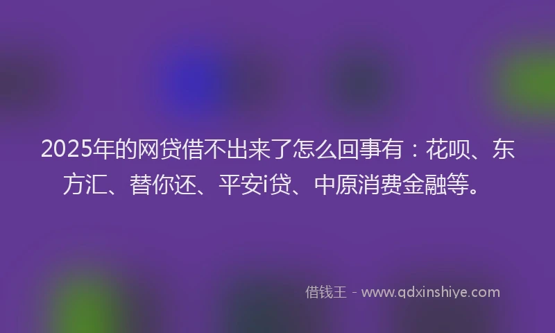 2025年的网贷借不出来了怎么回事有：花呗、东方汇、替你还、平安i贷、中原消费金融等。