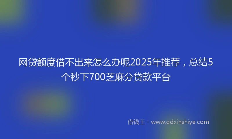 网贷额度借不出来怎么办呢2025年推荐，总结5个秒下700芝麻分贷款平台