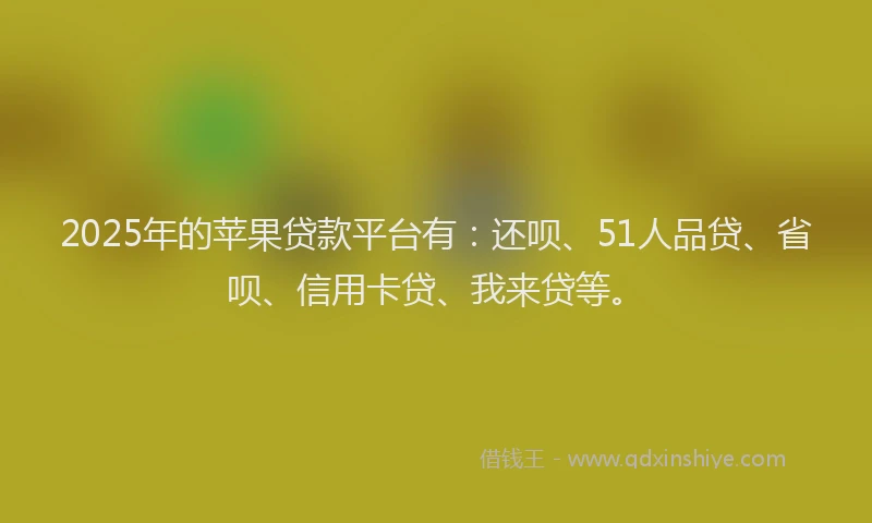 2025年的苹果贷款平台有：还呗、51人品贷、省呗、信用卡贷、我来贷等。