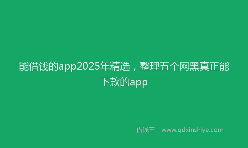 能借钱的app2025年精选，整理五个网黑真正能下款的app