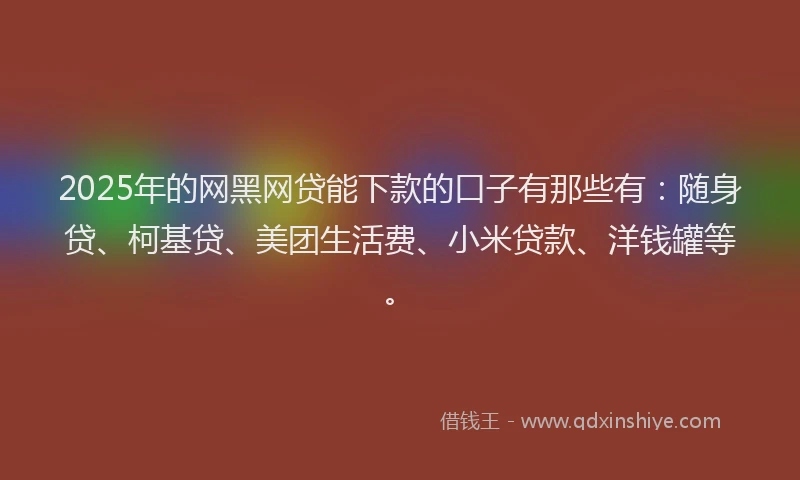2025年的网黑网贷能下款的口子有那些有：随身贷、柯基贷、美团生活费、小米贷款、洋钱罐等。