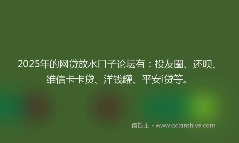 2025年的网贷放水口子论坛有：投友圈、还呗、维信卡卡贷、洋钱罐、平安i贷等。