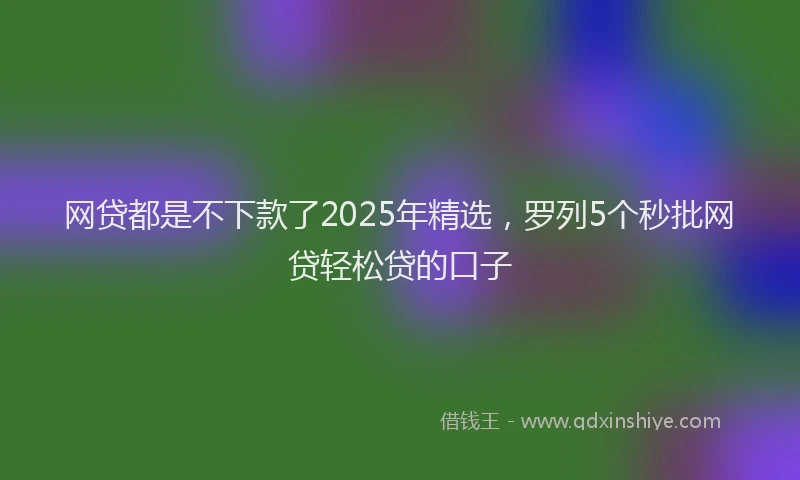 网贷都是不下款了2025年精选，罗列5个秒批网贷轻松贷的口子