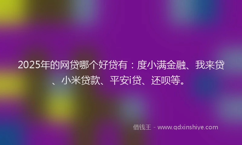 2025年的网贷哪个好贷有：度小满金融、我来贷、小米贷款、平安i贷、还呗等。