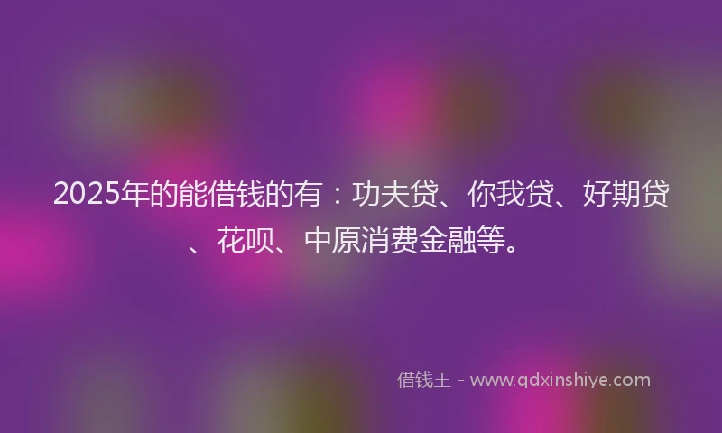 2025年的能借钱的有：功夫贷、你我贷、好期贷、花呗、中原消费金融等。
