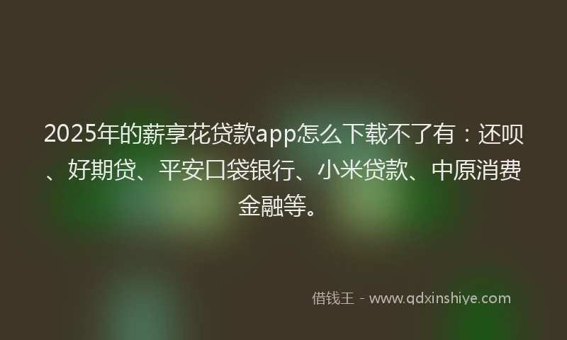 2025年的薪享花贷款app怎么下载不了有：还呗、好期贷、平安口袋银行、小米贷款、中原消费金融等。