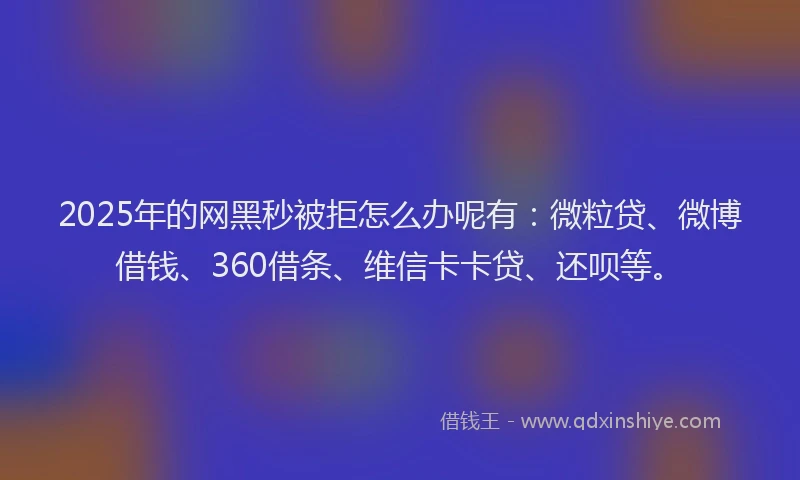 2025年的网黑秒被拒怎么办呢有：微粒贷、微博借钱、360借条、维信卡卡贷、还呗等。