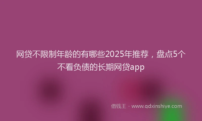 网贷不限制年龄的有哪些2025年推荐，盘点5个不看负债的长期网贷app