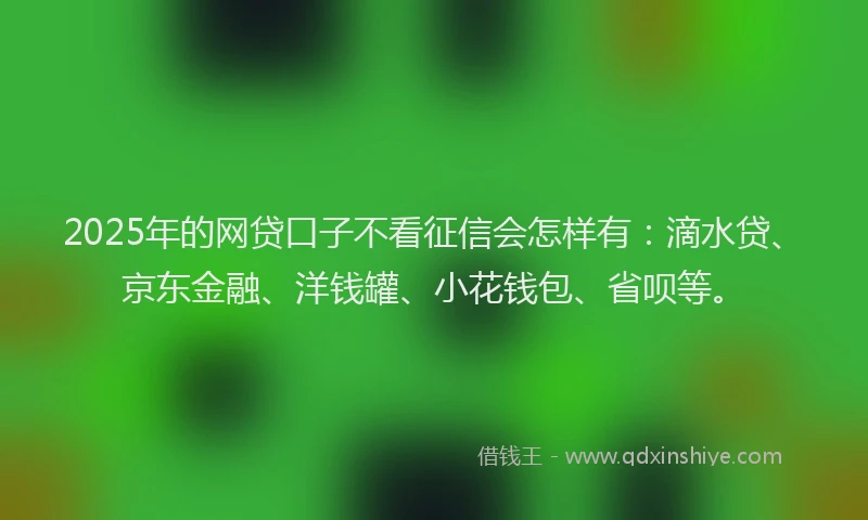 2025年的网贷口子不看征信会怎样有：滴水贷、京东金融、洋钱罐、小花钱包、省呗等。