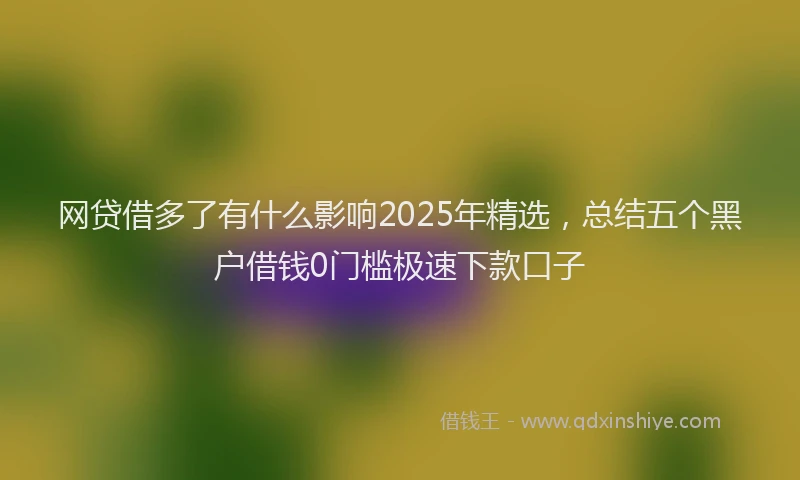 网贷借多了有什么影响2025年精选，总结五个黑户借钱0门槛极速下款口子