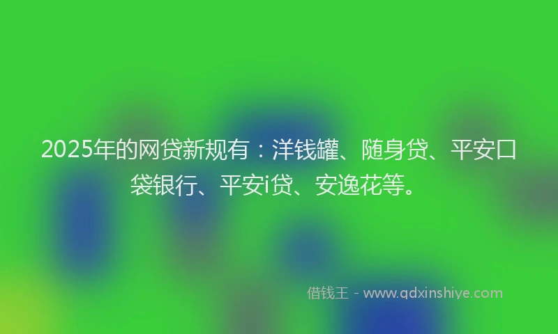 2025年的网贷新规有：洋钱罐、随身贷、平安口袋银行、平安i贷、安逸花等。