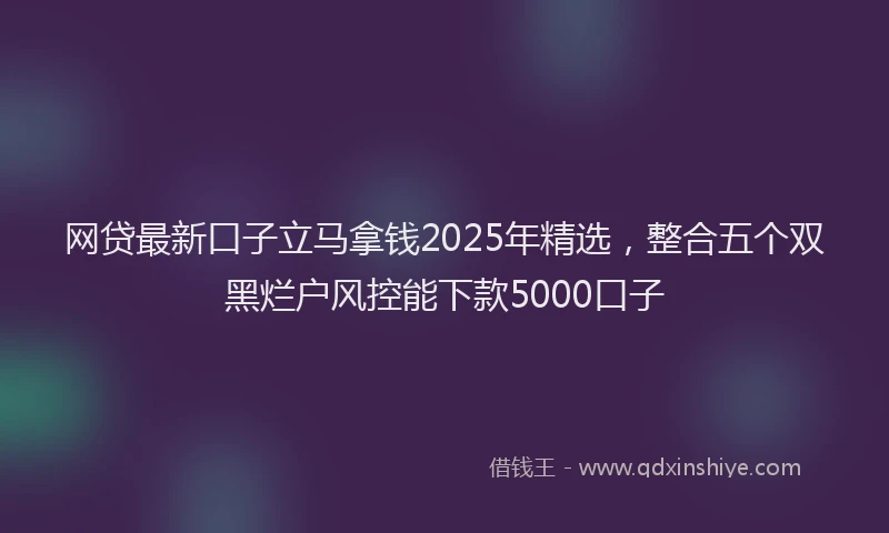 网贷最新口子立马拿钱2025年精选，整合五个双黑烂户风控能下款5000口子