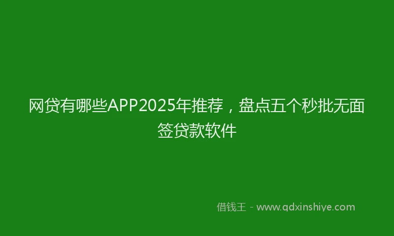 网贷有哪些APP2025年推荐，盘点五个秒批无面签贷款软件