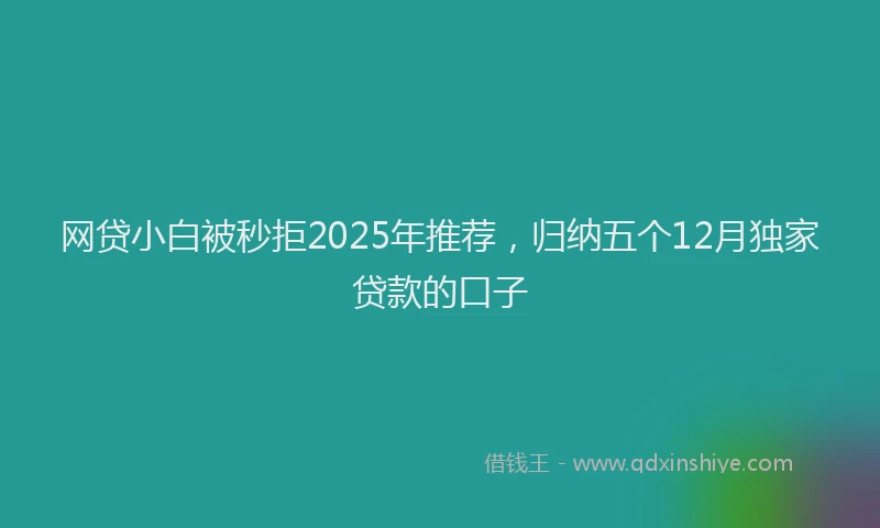 网贷小白被秒拒2025年推荐，归纳五个12月独家贷款的口子