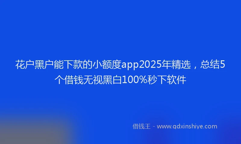 花户黑户能下款的小额度app2025年精选，总结5个借钱无视黑白100%秒下软件