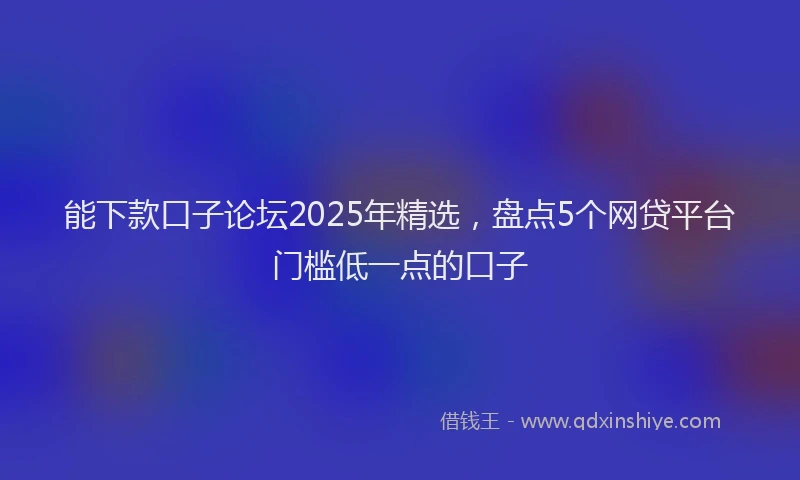 能下款口子论坛2025年精选，盘点5个网贷平台门槛低一点的口子