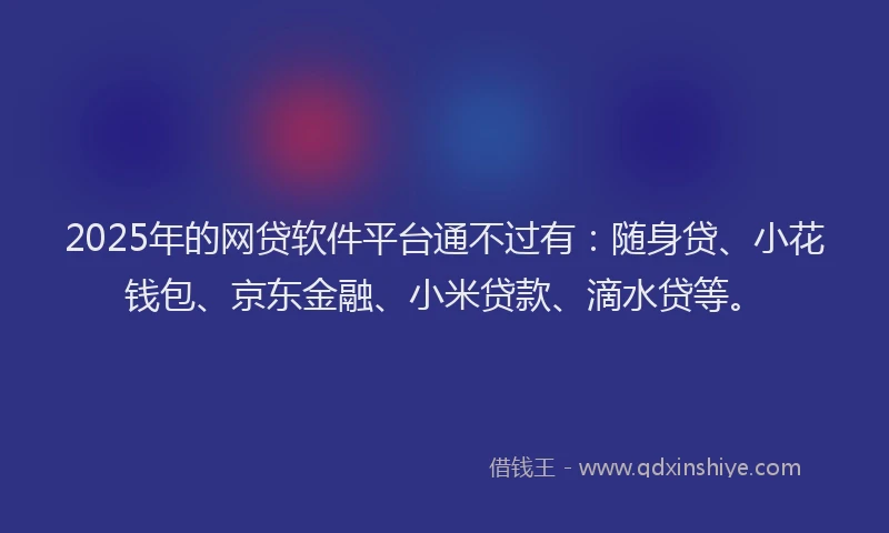 2025年的网贷软件平台通不过有：随身贷、小花钱包、京东金融、小米贷款、滴水贷等。