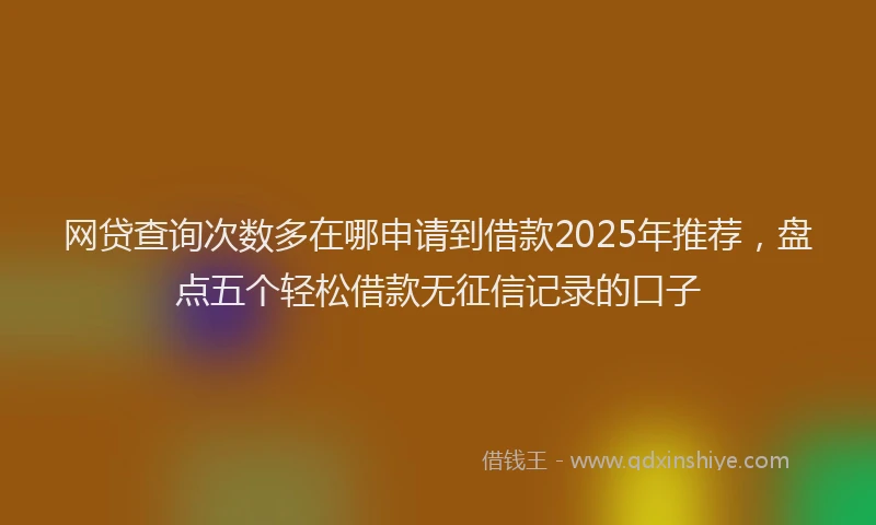 网贷查询次数多在哪申请到借款2025年推荐，盘点五个轻松借款无征信记录的口子