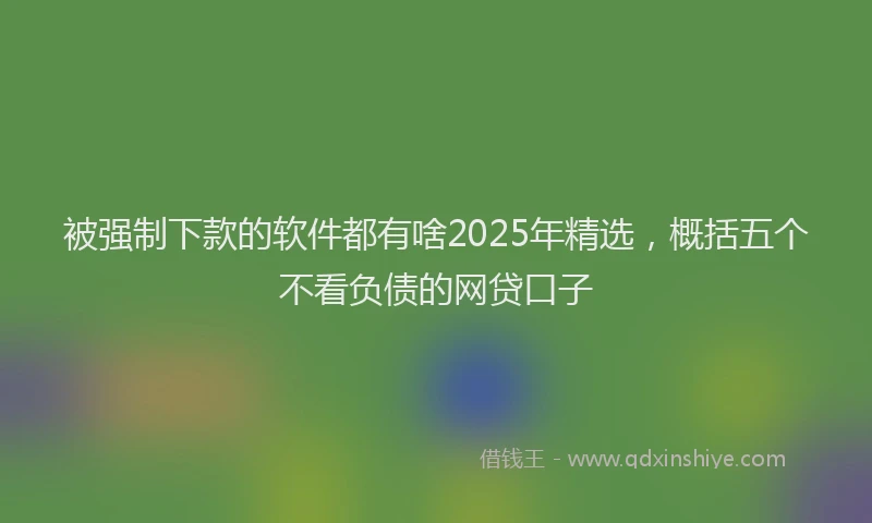 被强制下款的软件都有啥2025年精选，概括五个不看负债的网贷口子
