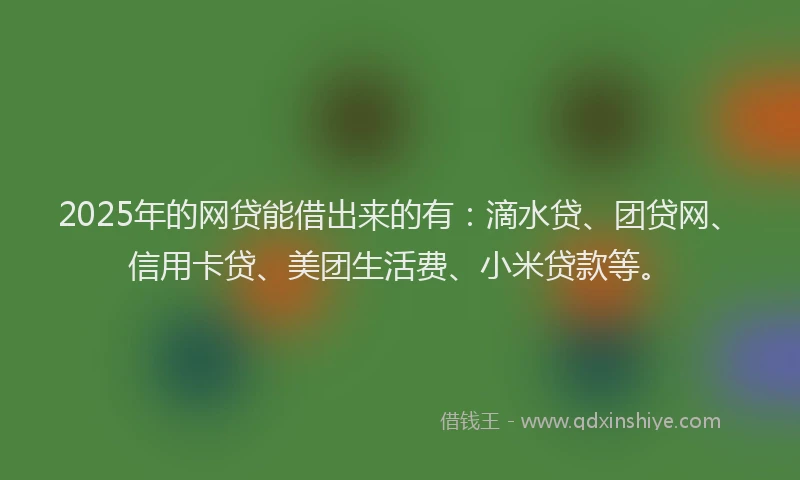 2025年的网贷能借出来的有：滴水贷、团贷网、信用卡贷、美团生活费、小米贷款等。