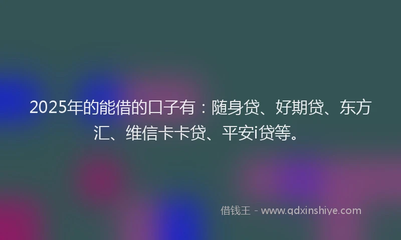 2025年的能借的口子有：随身贷、好期贷、东方汇、维信卡卡贷、平安i贷等。