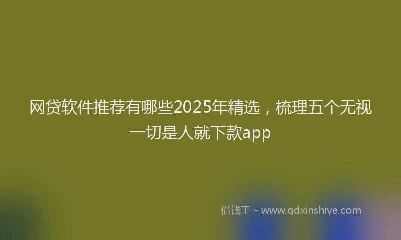 网贷软件推荐有哪些2025年精选，梳理五个无视一切是人就下款app