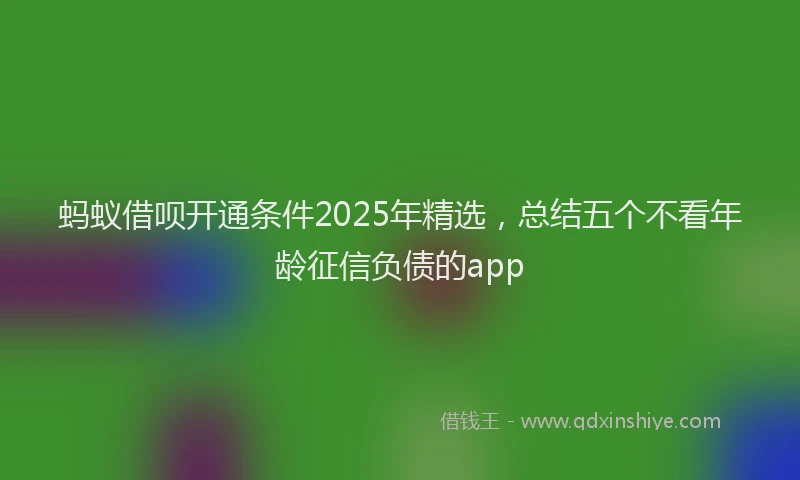 蚂蚁借呗开通条件2025年精选，总结五个不看年龄征信负债的app