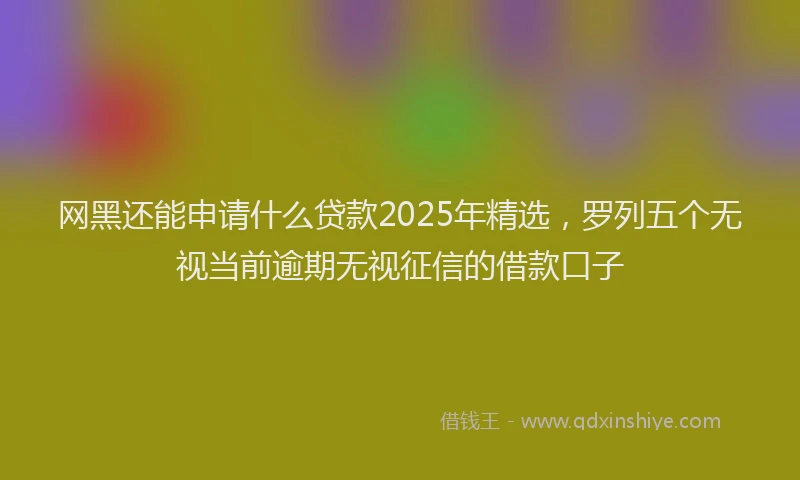 网黑还能申请什么贷款2025年精选，罗列五个无视当前逾期无视征信的借款口子