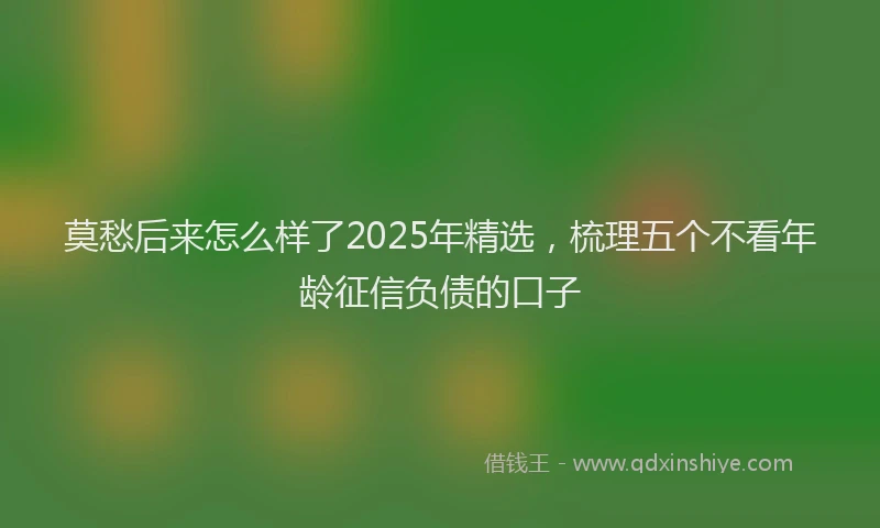 莫愁后来怎么样了2025年精选，梳理五个不看年龄征信负债的口子