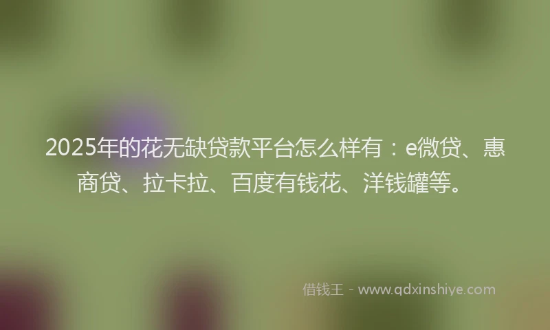 2025年的花无缺贷款平台怎么样有：e微贷、惠商贷、拉卡拉、百度有钱花、洋钱罐等。