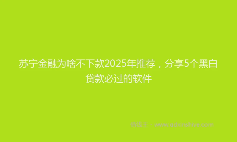苏宁金融为啥不下款2025年推荐，分享5个黑白贷款必过的软件