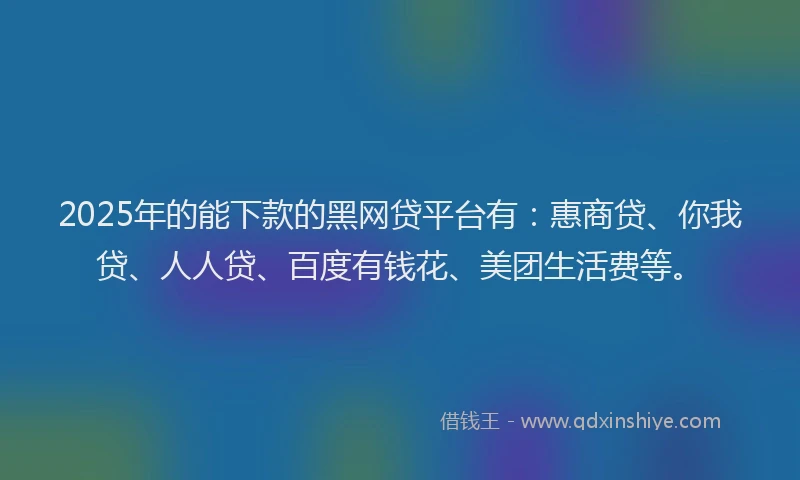 2025年的能下款的黑网贷平台有：惠商贷、你我贷、人人贷、百度有钱花、美团生活费等。