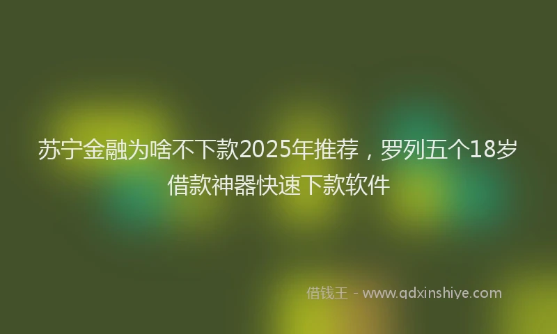 苏宁金融为啥不下款2025年推荐，罗列五个18岁借款神器快速下款软件