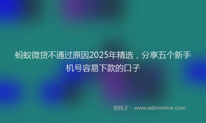 蚂蚁微贷不通过原因2025年精选，分享五个新手机号容易下款的口子