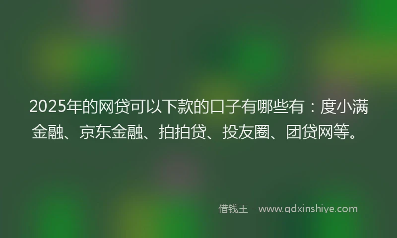 2025年的网贷可以下款的口子有哪些有：度小满金融、京东金融、拍拍贷、投友圈、团贷网等。