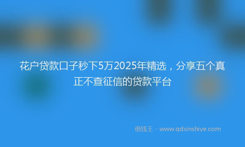 花户贷款口子秒下5万2025年精选，分享五个真正不查征信的贷款平台