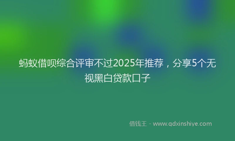 蚂蚁借呗综合评审不过2025年推荐，分享5个无视黑白贷款口子