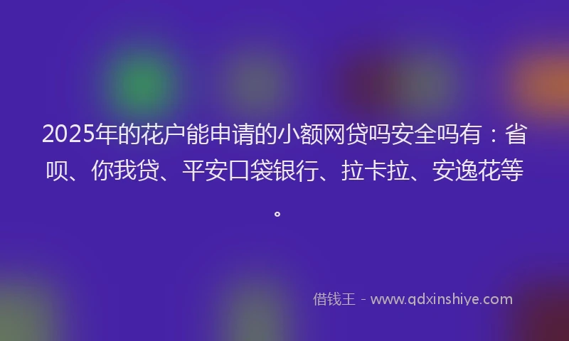 2025年的花户能申请的小额网贷吗安全吗有：省呗、你我贷、平安口袋银行、拉卡拉、安逸花等。