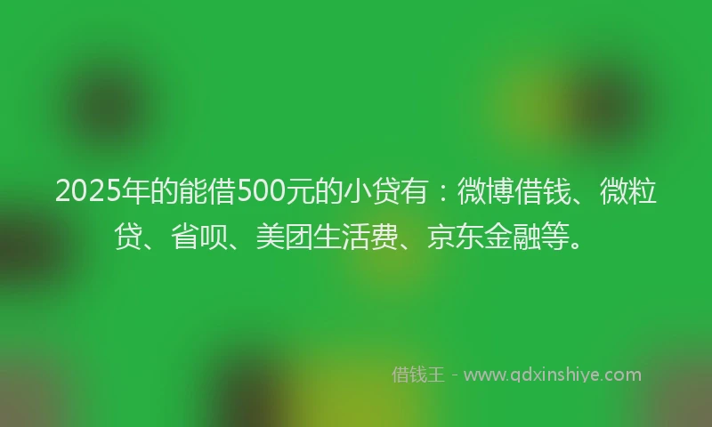 2025年的能借500元的小贷有：微博借钱、微粒贷、省呗、美团生活费、京东金融等。