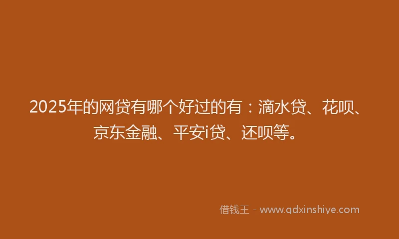 2025年的网贷有哪个好过的有：滴水贷、花呗、京东金融、平安i贷、还呗等。